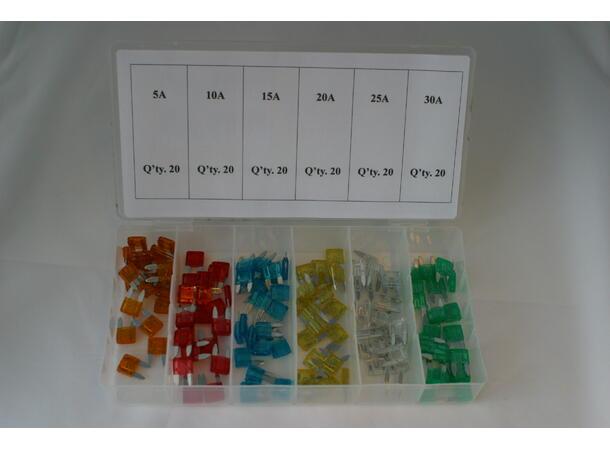 Sikringsortiment 120d mini-flatstift